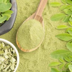 moringa, dog cancer, natural remedies for cancer, dog cancer, miracle tree