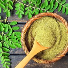 moringa, dog cancer, natural remedies for cancer, dog cancer, miracle tree, my dog has cancer