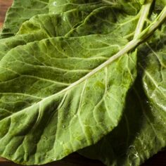 vitamin c, collard greens, dogs, dog health, dog cancer, dog nutrition