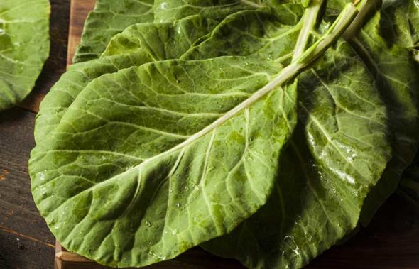 C.vitaminC.collard.greens.dogs.health.cancer vitamin c, collard greens, dogs, dog health, dog cancer, dog nutrition