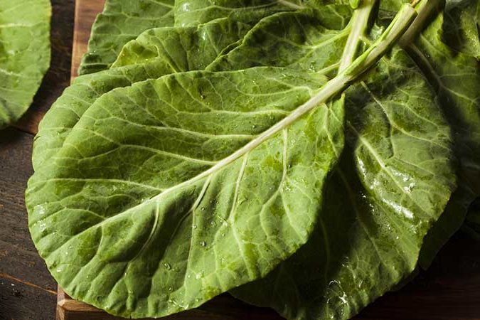 vitamin c, collard greens, dogs, dog health, dog cancer, dog nutrition