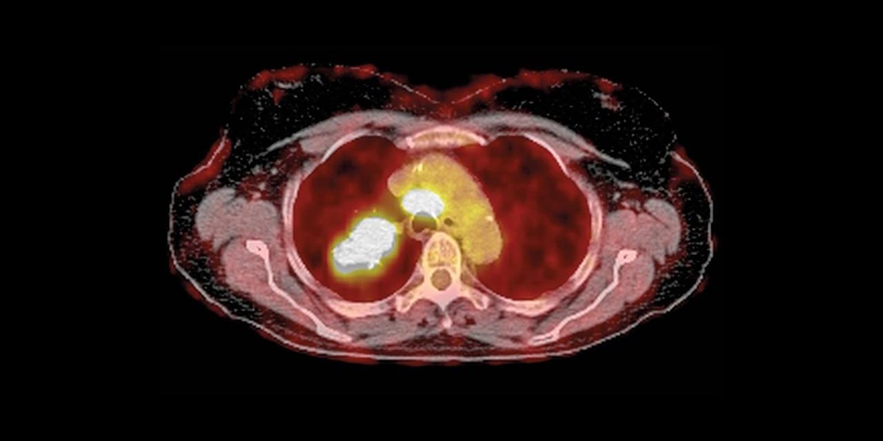 vitamin C, dog health, dog cancer, dog nutrition, natural remedies