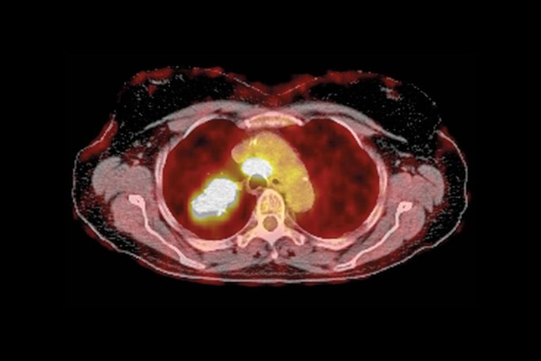 C.vitaminC.cancer.mutation.dog.health vitamin C, dog health, dog cancer, dog nutrition, natural remedies