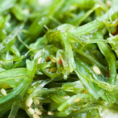 iodine, dogs, dog cancer, kelp, sea vegetables