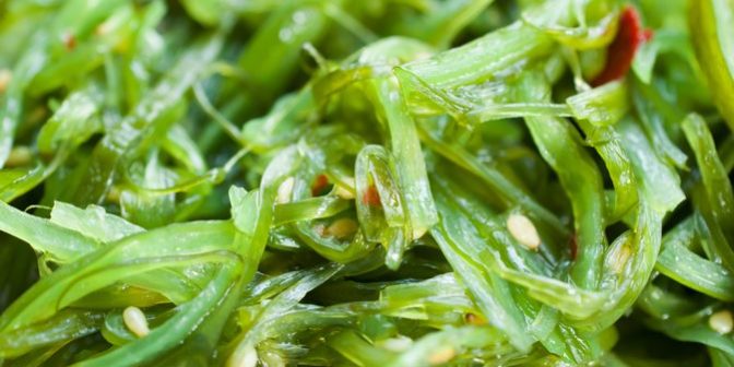 iodine, dogs, dog cancer, kelp, sea vegetables