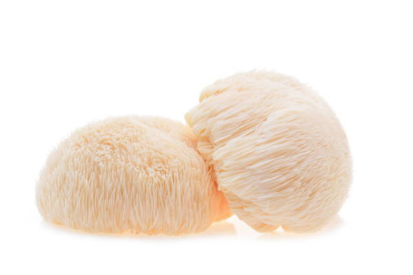 PURE Lions Mane - Image 3