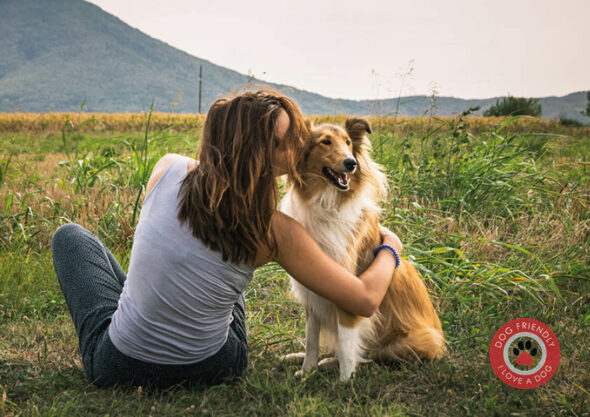 Collie_Woman.700×500.BS-i-love-a-dog-friendly-park
