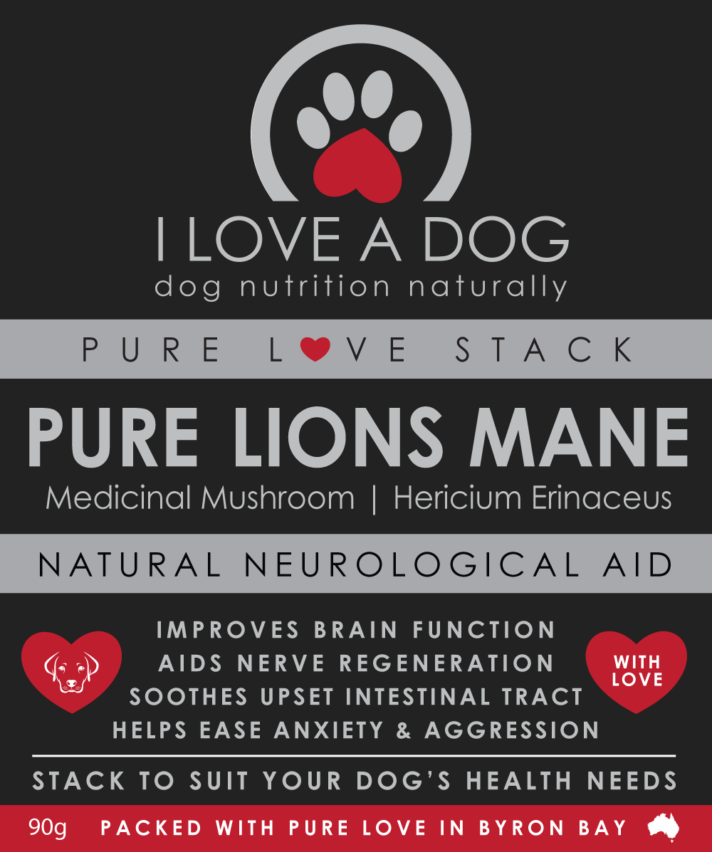 PURE Lions Mane - Image 2