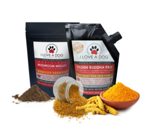 I LOVE A DOG mobility duo