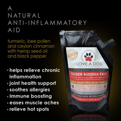 golden buddha paste cancer I LOVE A DOG health