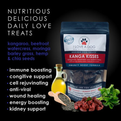 dog treats immunity cancer I LOVE A DOG