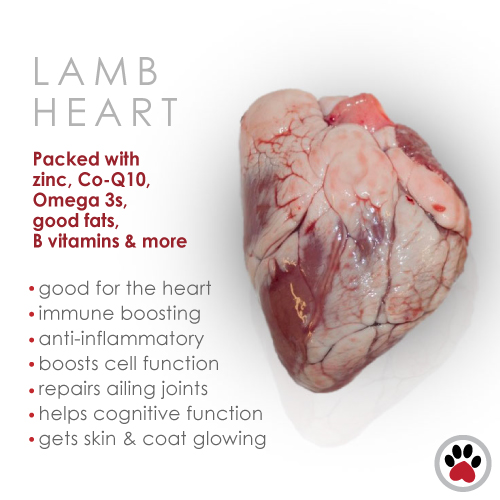 lamb-heart