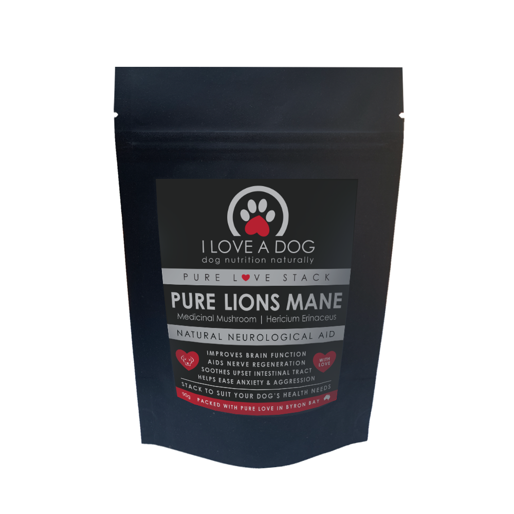 I LOVE A DOG PURE Lions Mane