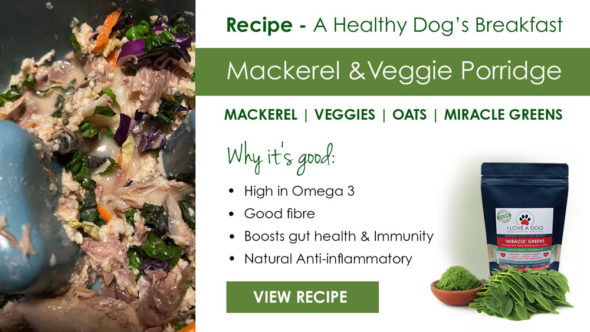 Recipe - A Healthy Dog’s Breakfast