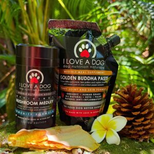 Immunity Duo - Xmas Edition