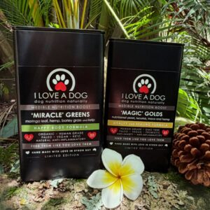 'Miracles and Magic' Home Health Duo