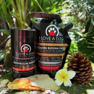 Mobility Duo - Xmas Edition