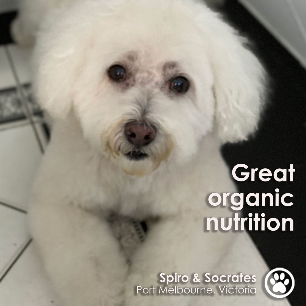 MOISIDIS.Socrates.wtext