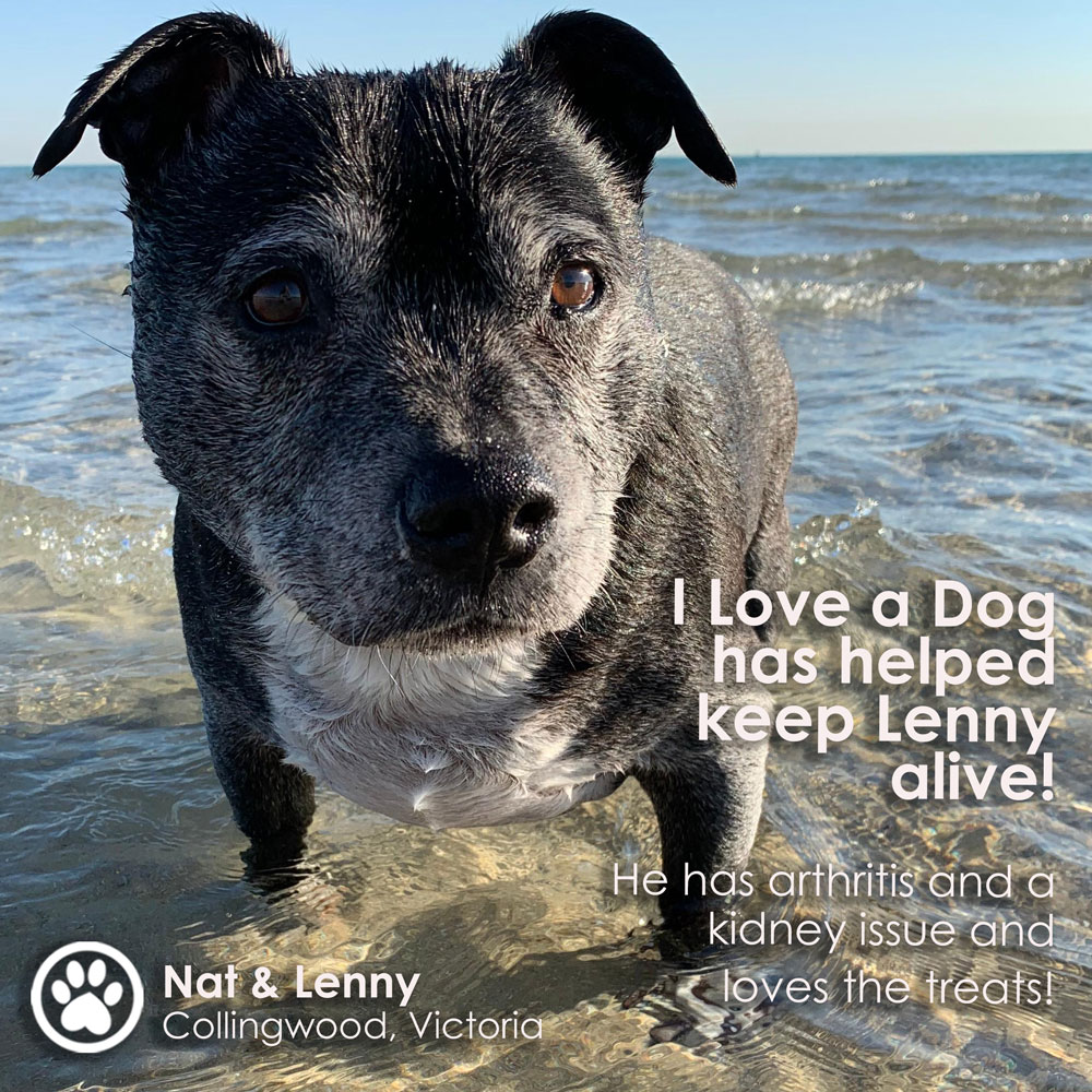 McDONALD.Lenny.wtext