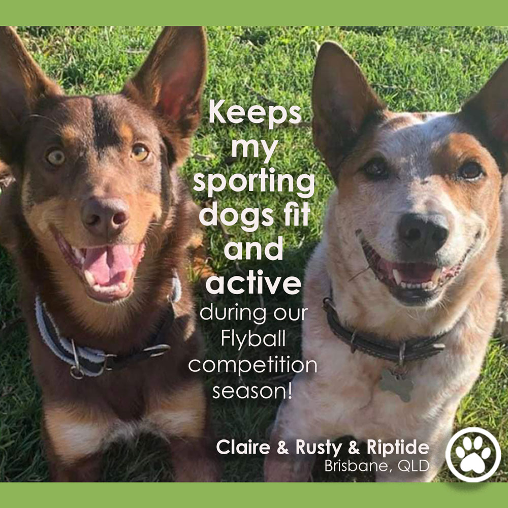 PETERKEN.Rusty.n.Riptide.wtext