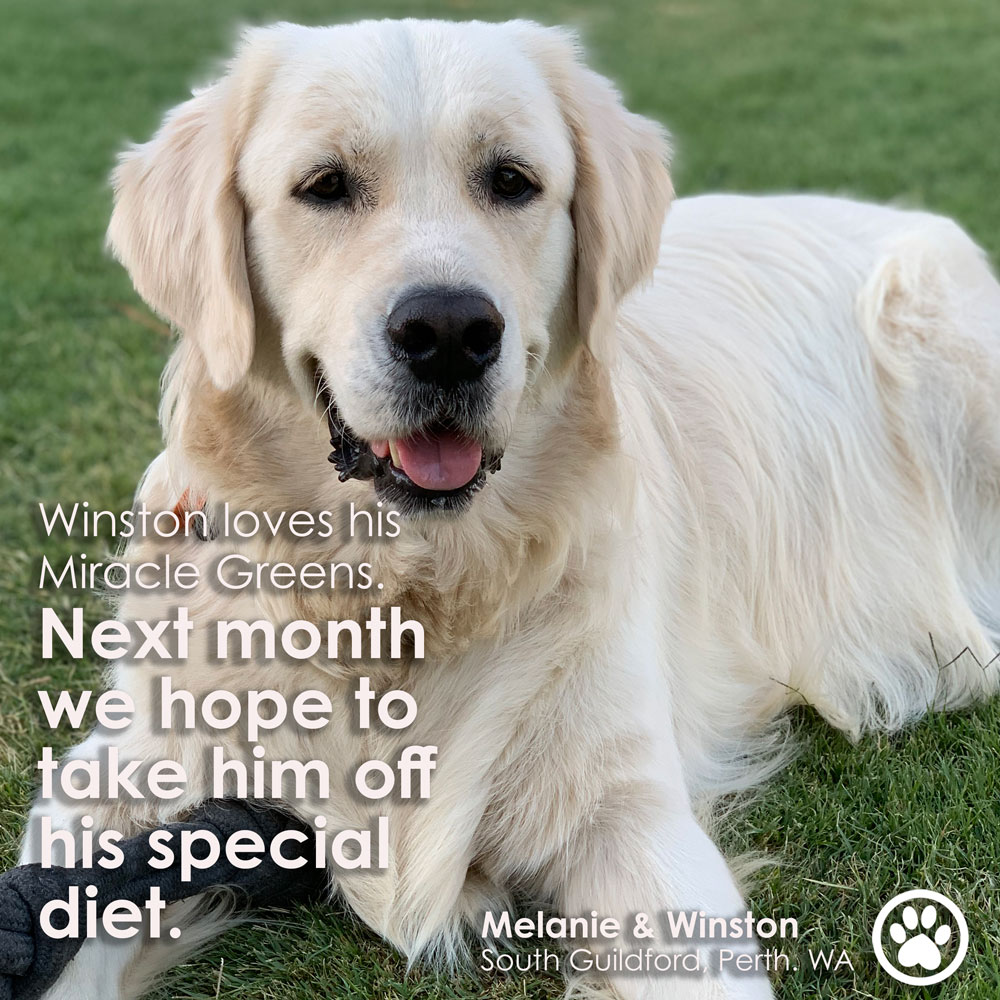 SHERRATT.Winston.wtext