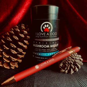 Mushroom Medley: Immunity - Xmas Gift Edition