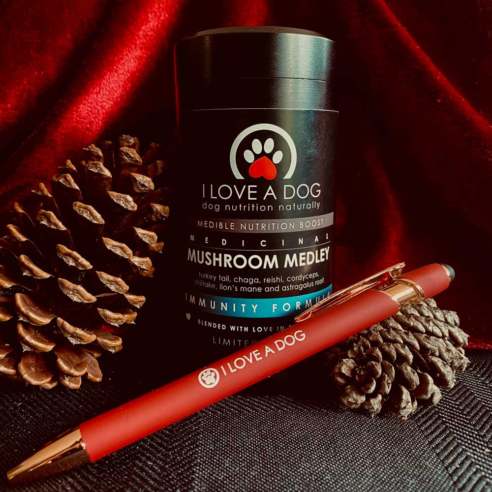 Mushroom Medley: Immunity - Xmas Gift Edition