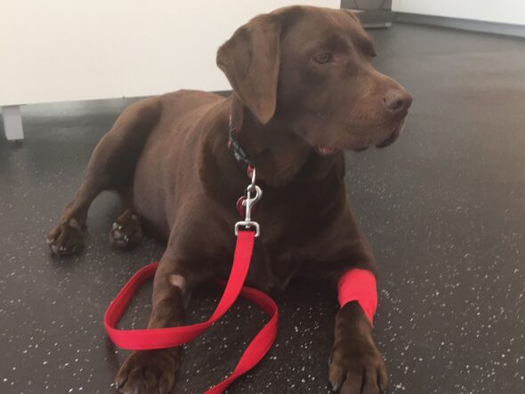 Ruby.Recovery.Road – 1 of 1